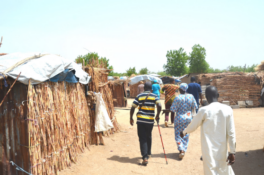 Reception of Internally Displaced Persons in Cameroon: The Situation in Wadale